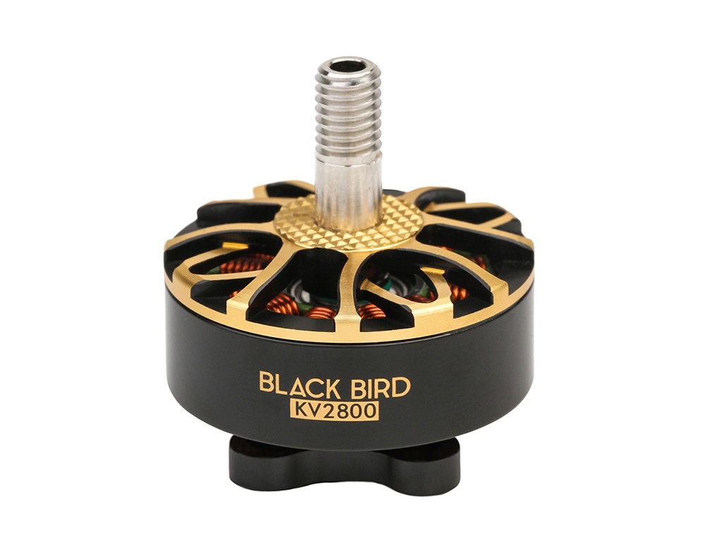 Opa vloeiend Ondenkbaar BLACK BIRD V2.0_Champion Co-brand_FPV_T-MOTOR Store-Official Store for T- motor drone motor,ESC,Propeller