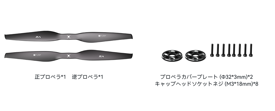 VZ29x9.5-pack-jp.png