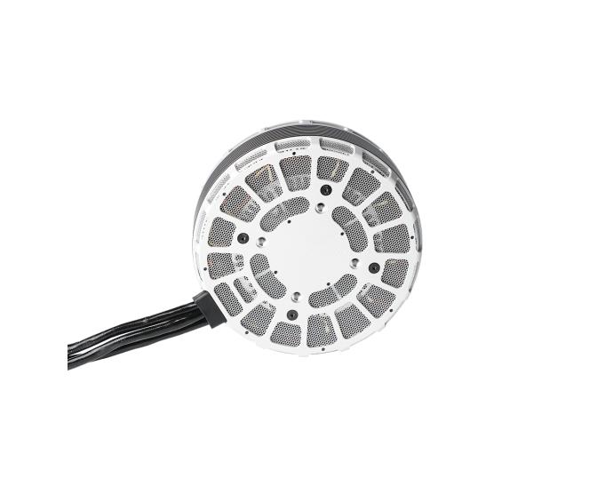 MN1123 KV53