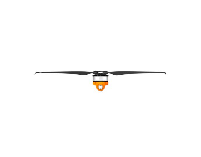 A10XL